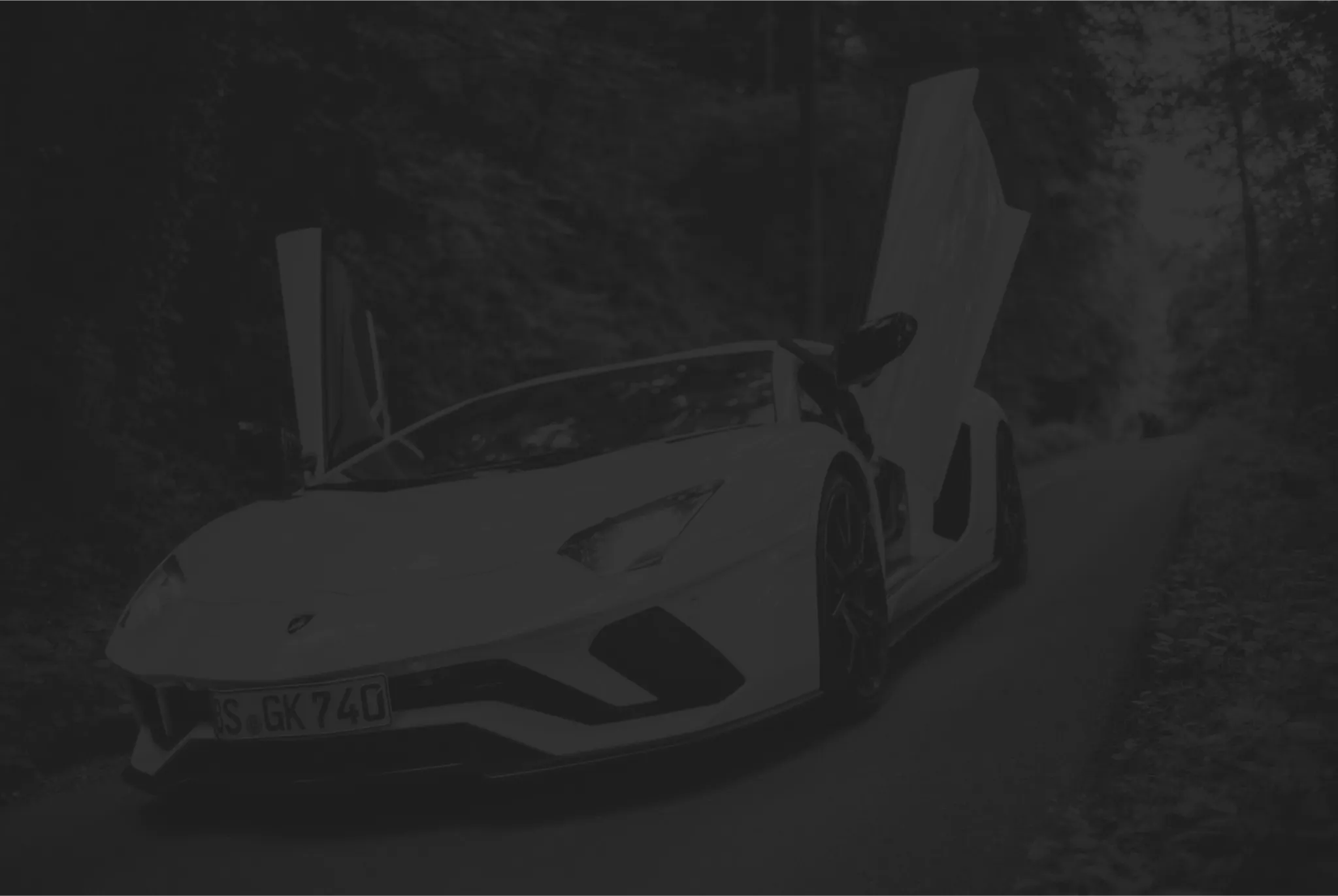 Lamborghini Aventador der Odenwaldgarage